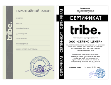 Сертификат Tribe